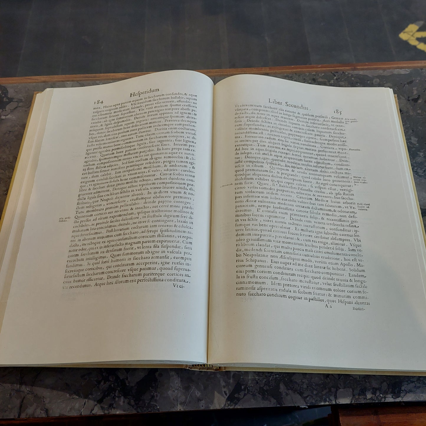 L/hesperides Sive De Malorum Aureorum Cultura Et Usu 1646 (anastatica)