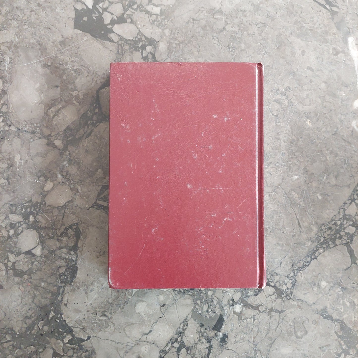 La Sacra Bibbia (s.e.i.)
