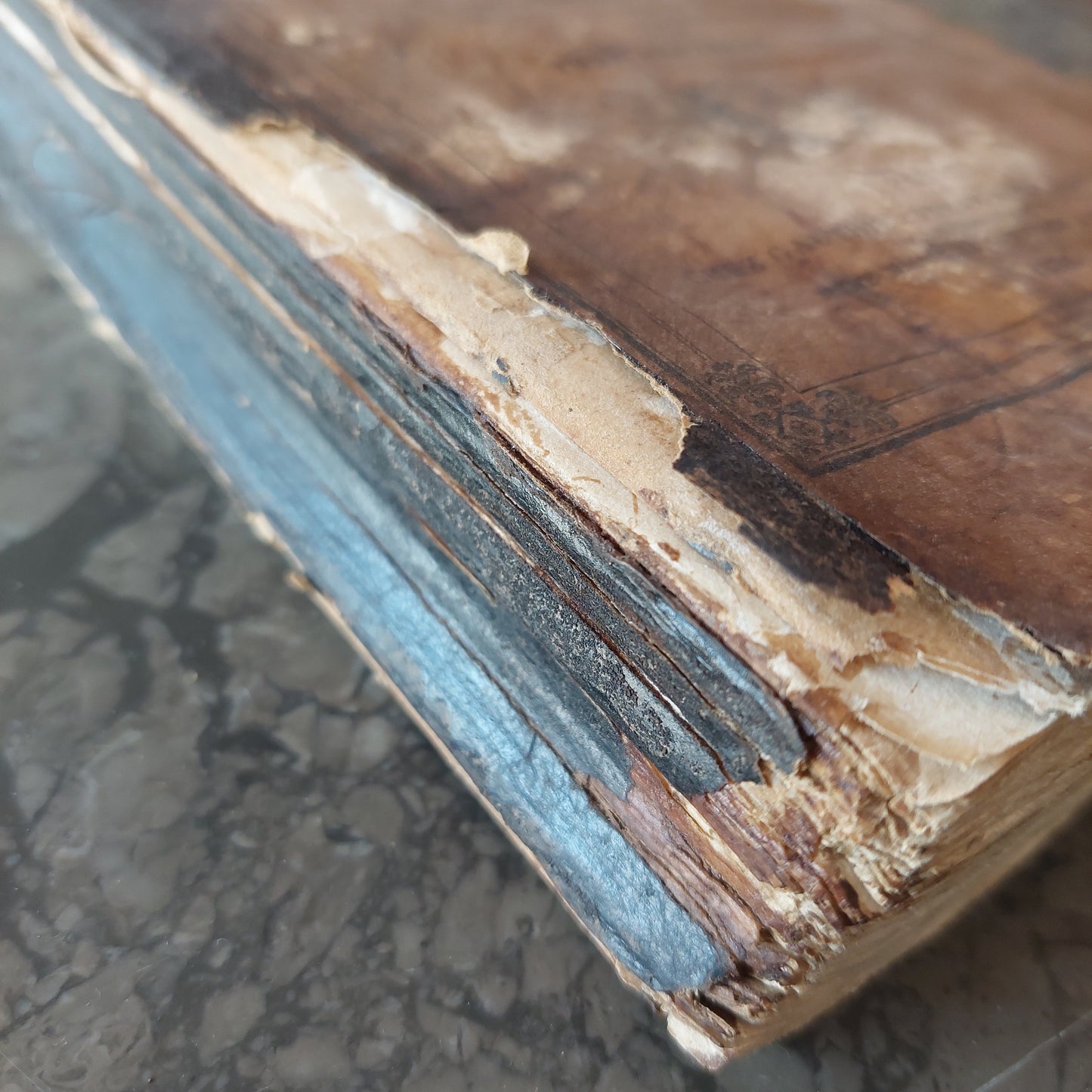 L/ "sante Bibble" Bibbia In Lingua Francese 1835