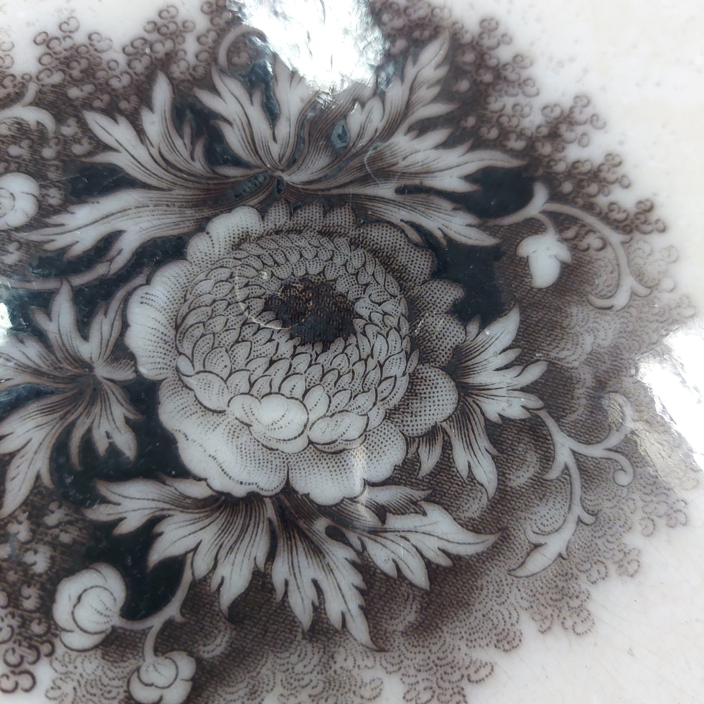 Piatto Da Collezione Porcellana* U & C Sarreguemines Jardiniere