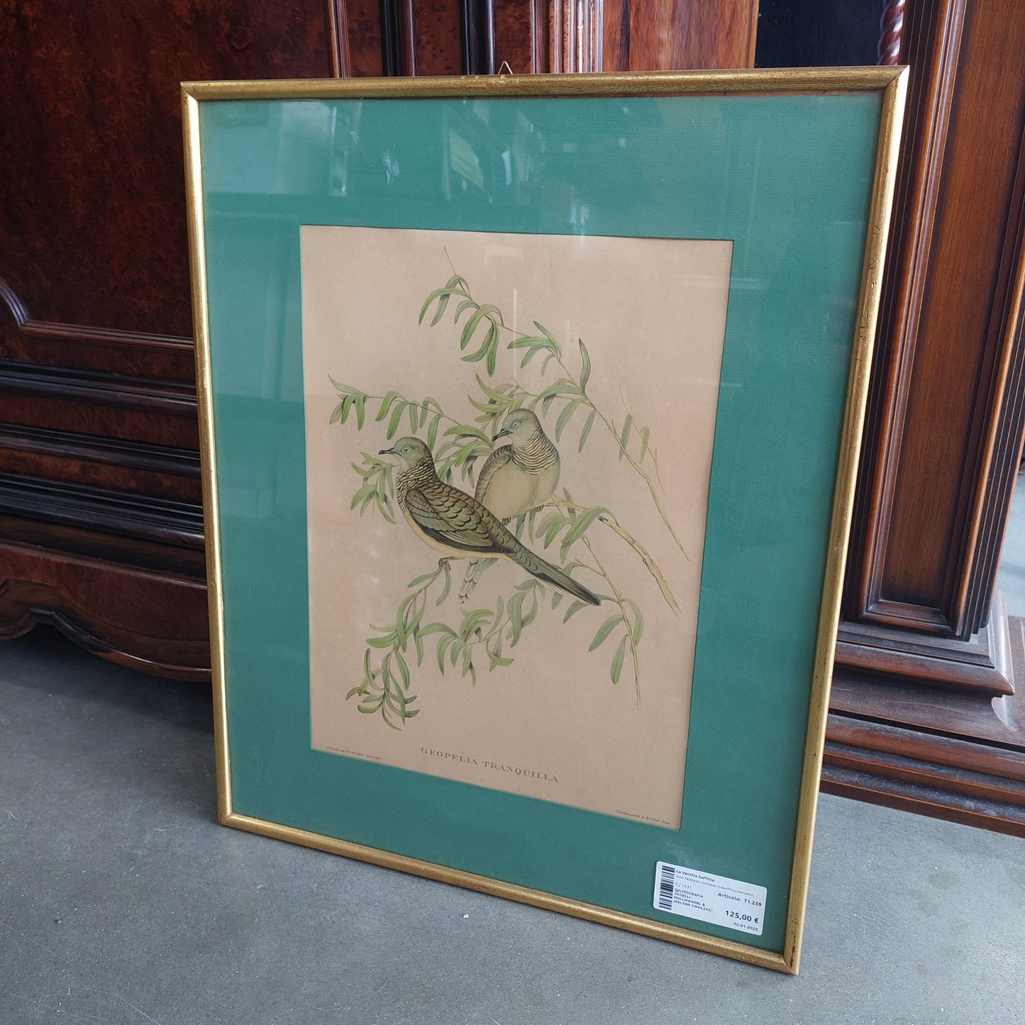 Q/litografia Uccelli Hullmandel & Walton Cm44,5x54,5
