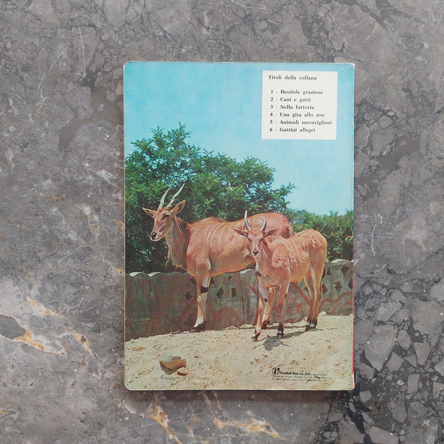 Una Gita Allo Zoo (cartonato Vintage)