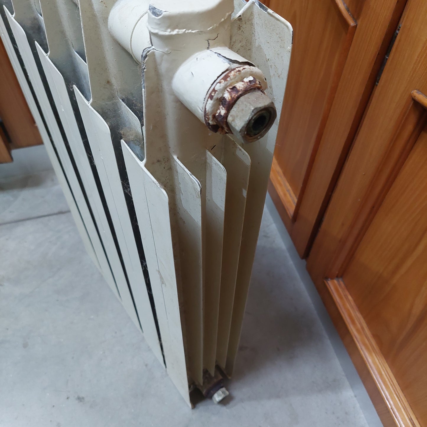 Termosifone 5 Elementi Cm45x70h
