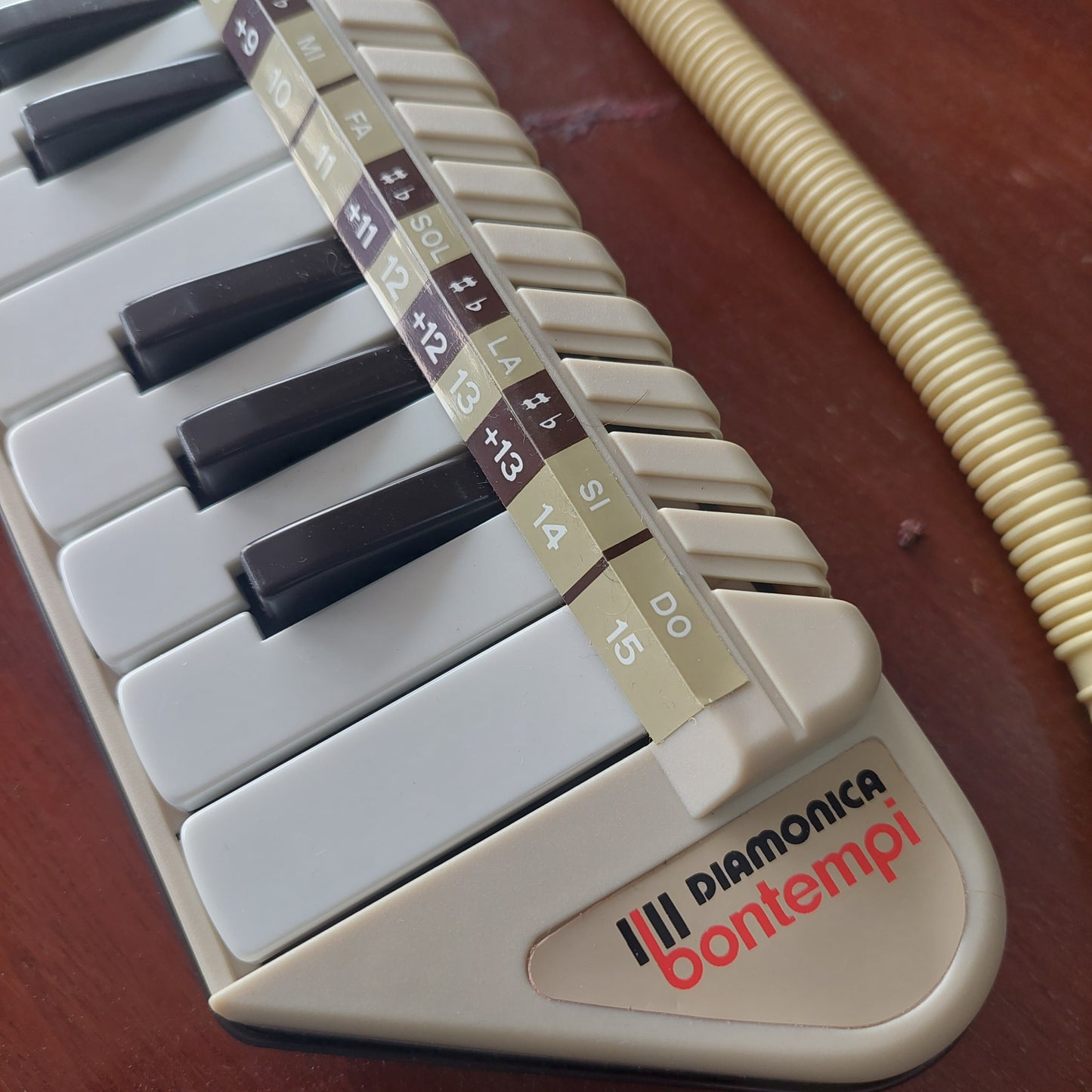 Diamonica Bontempi Con Custodia