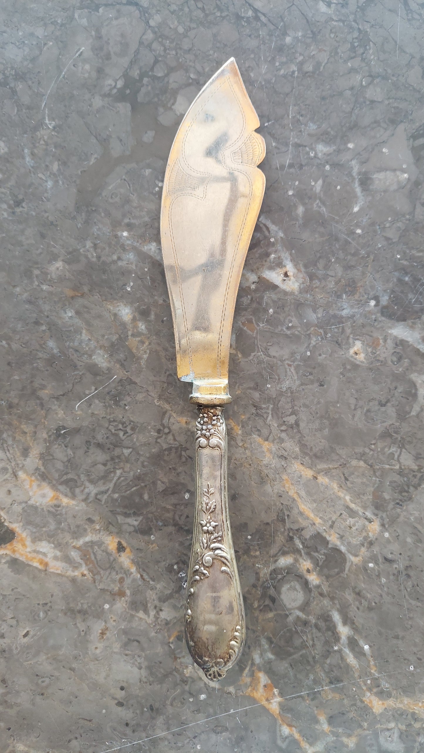 Paletta Torta Arg Primi '900