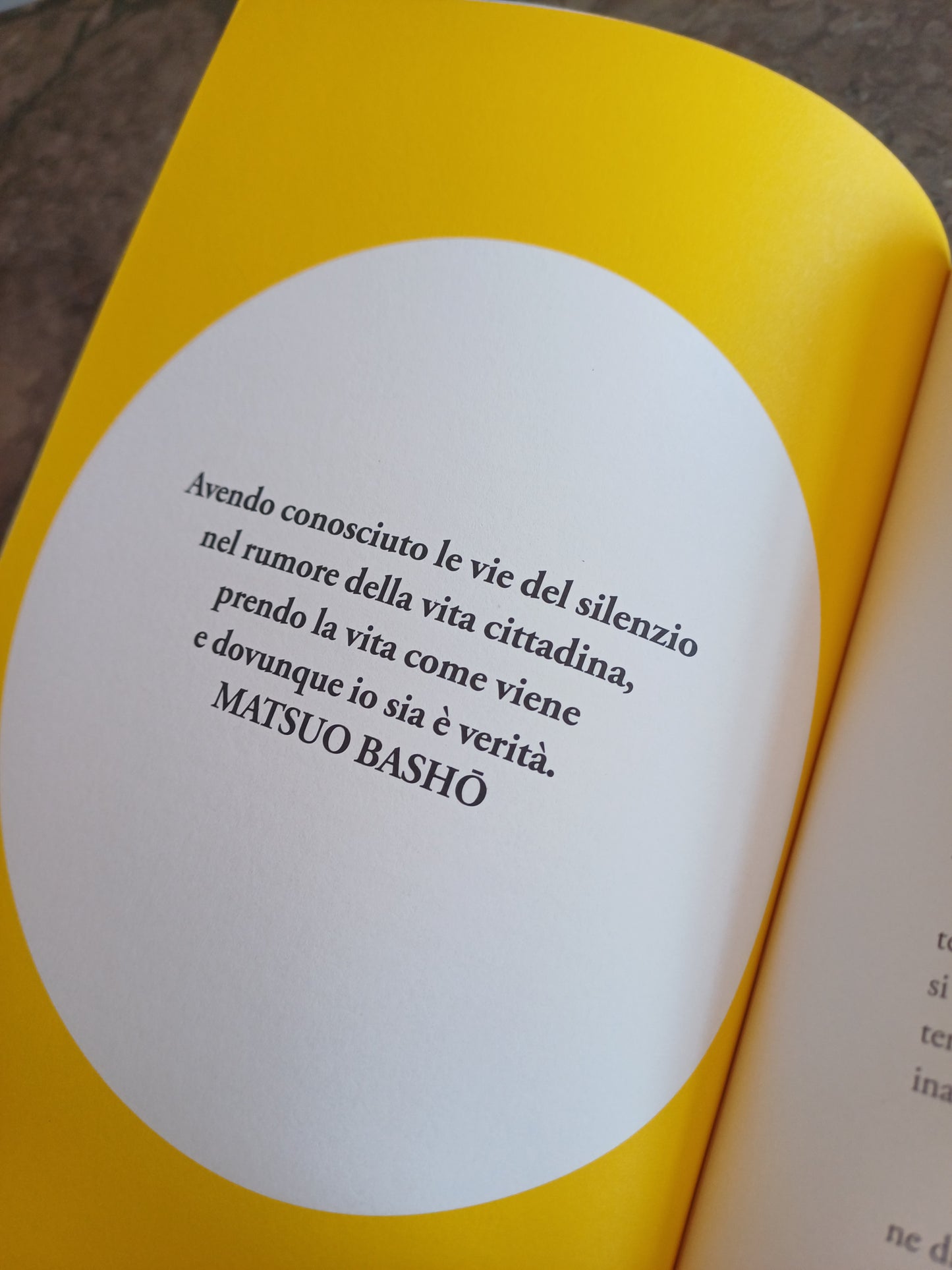 L/honjok. L'arte Di Vivere Da Soli - Francie Healey, Crystal Tai