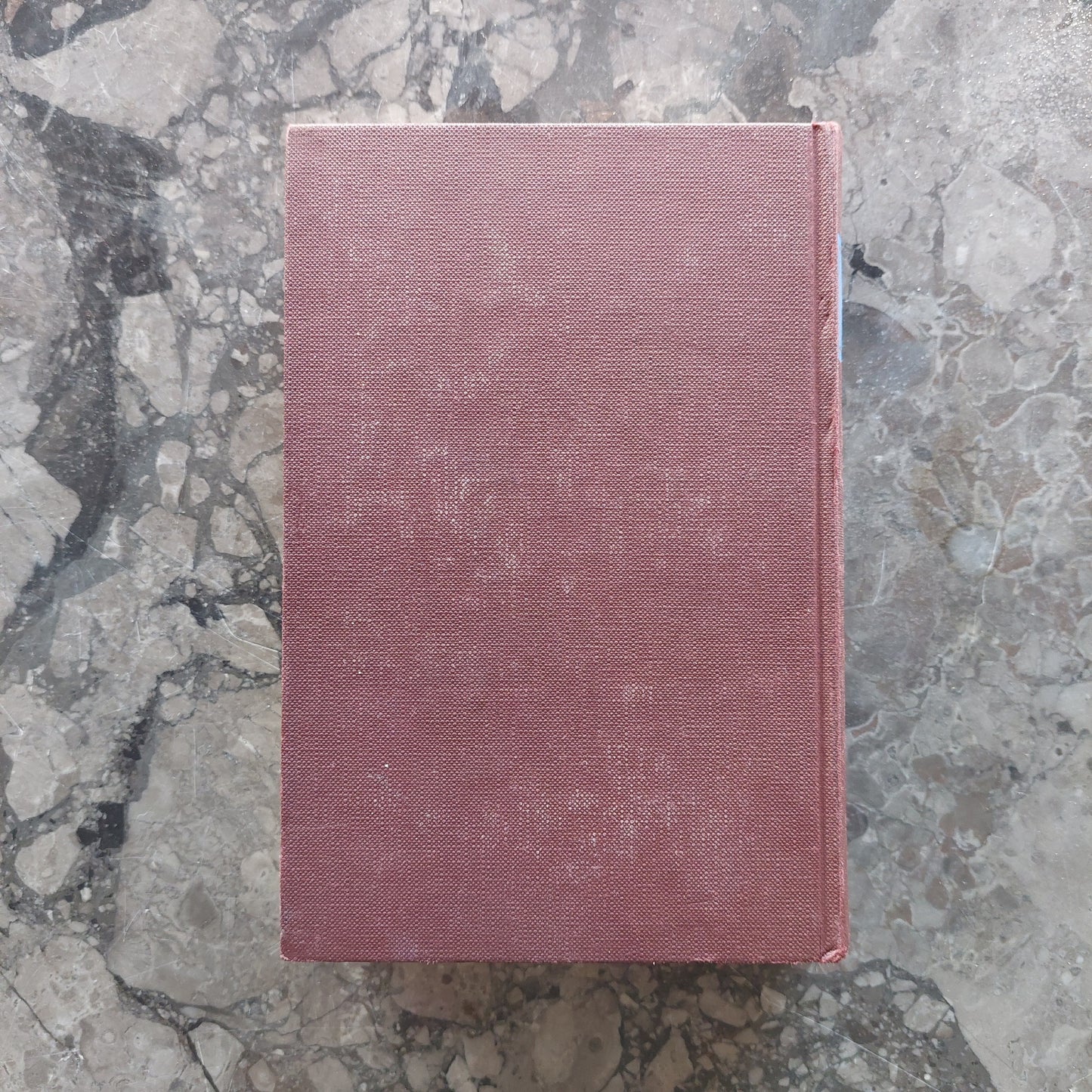La Bibbia - Edizioni Paoline 1962