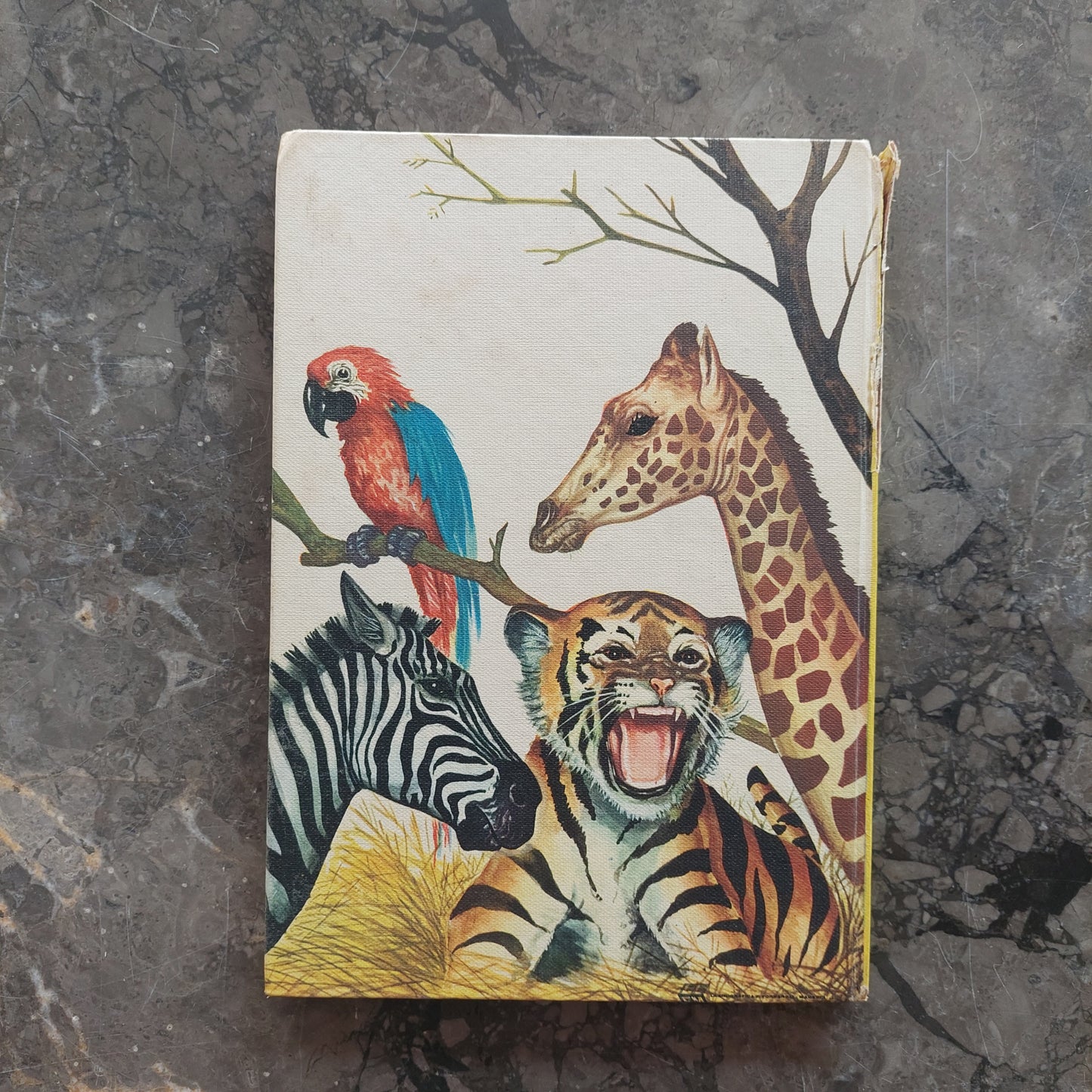 Un Giorno Allo Zoo (cartonato Vintage)