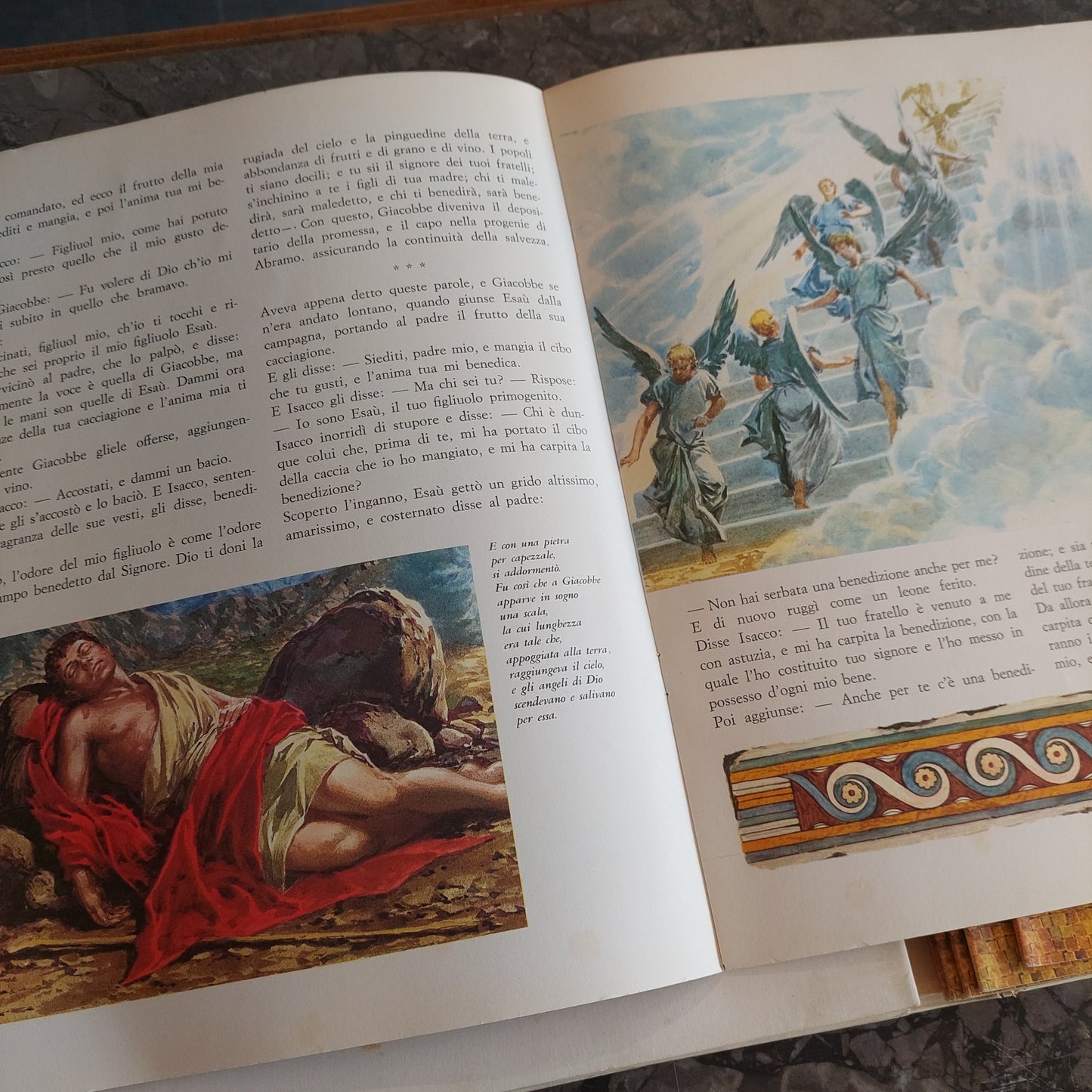 L/la Sacra Bibbia Illustrata Fascicoli Vol.i 1962