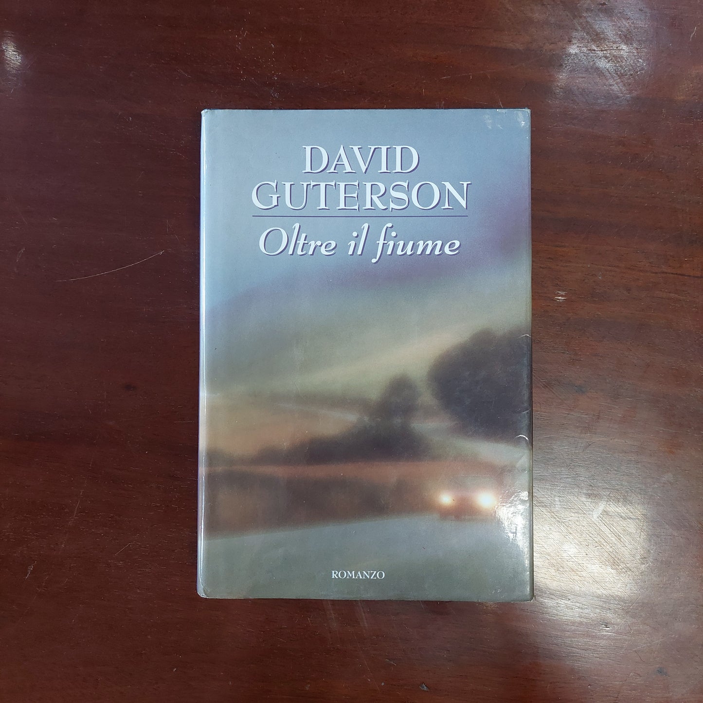 Oltre Il Fiume - David Guterson