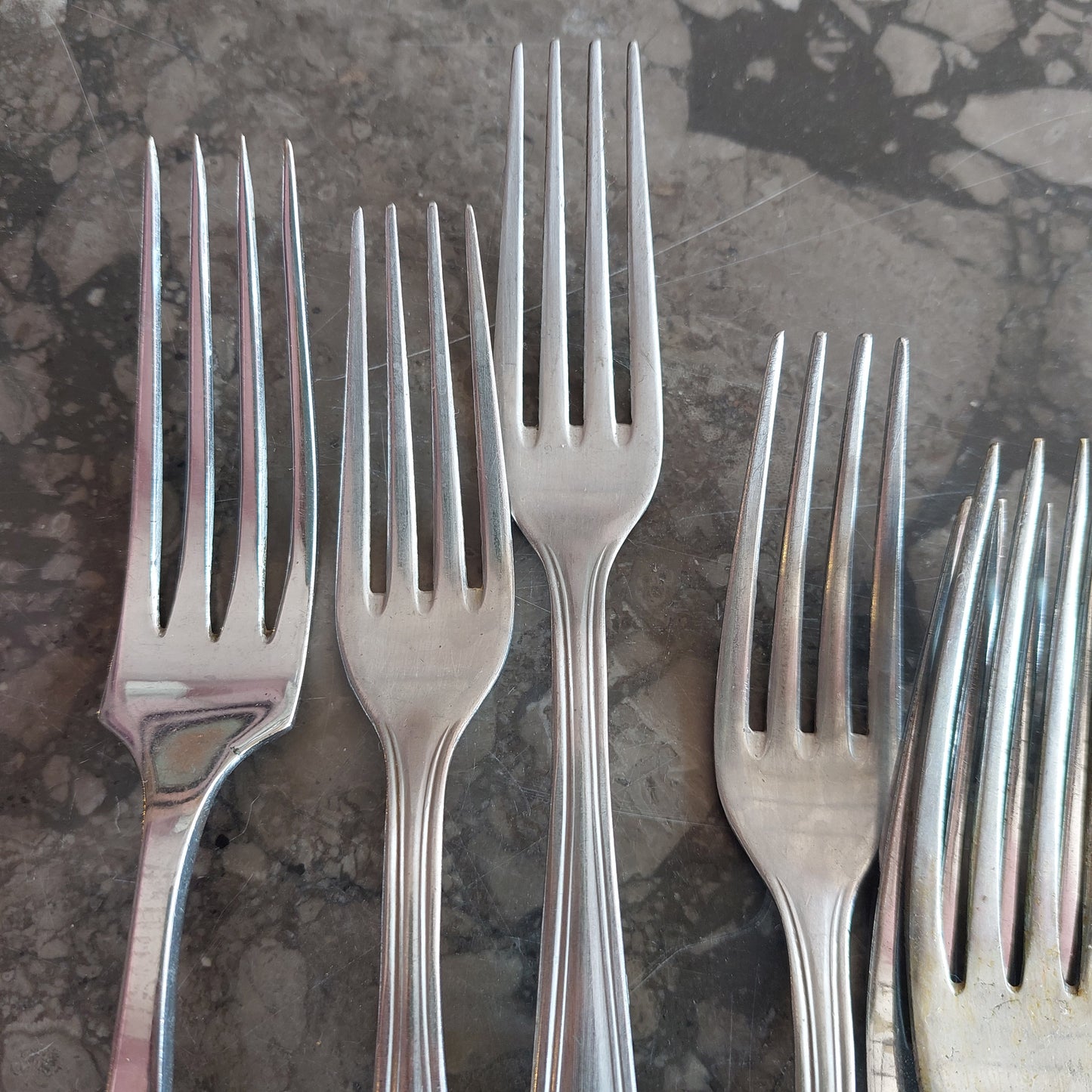 Set/12 Forchette Assortite Rebbi Lunghi