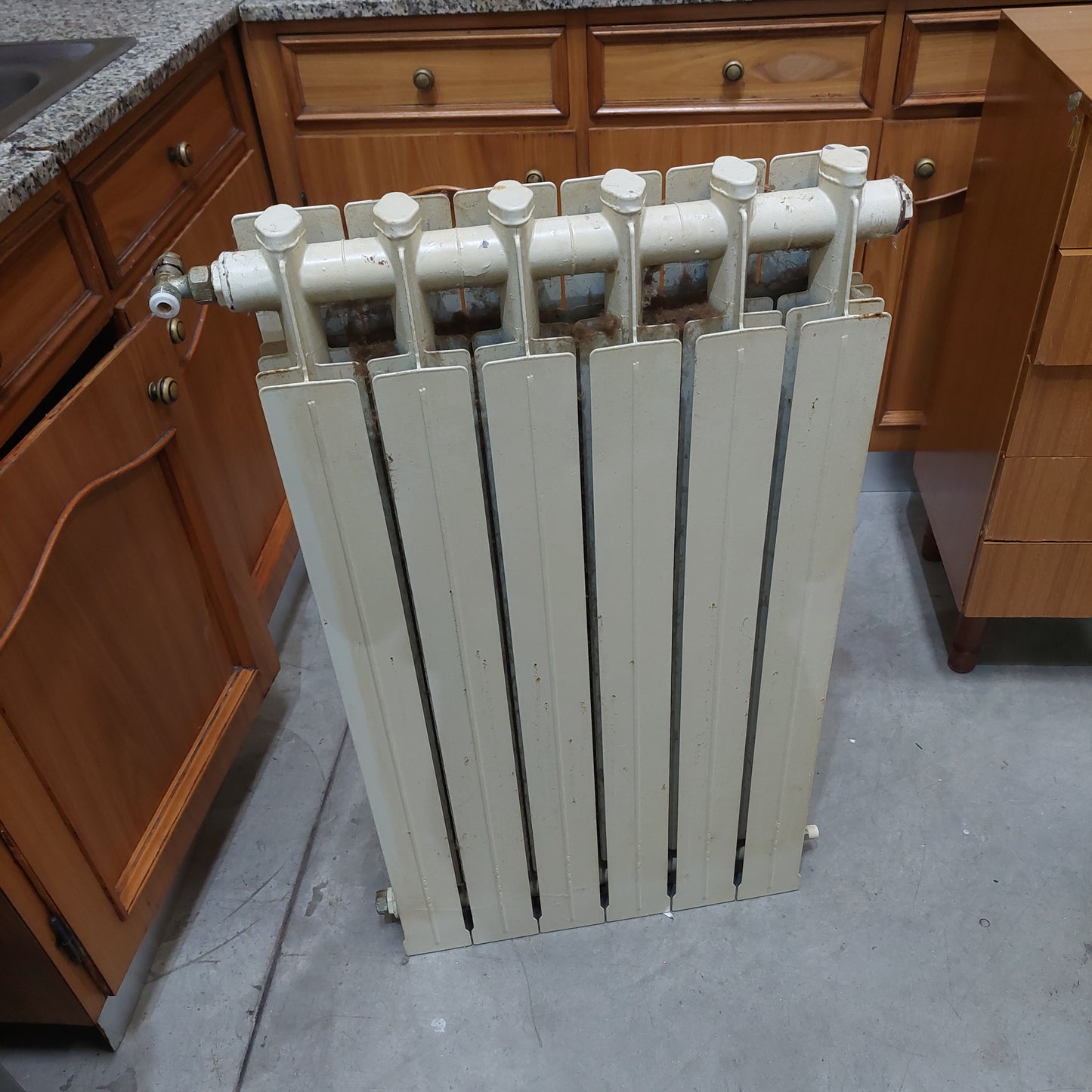 Termosifone 6 Elementi Cm53x90h