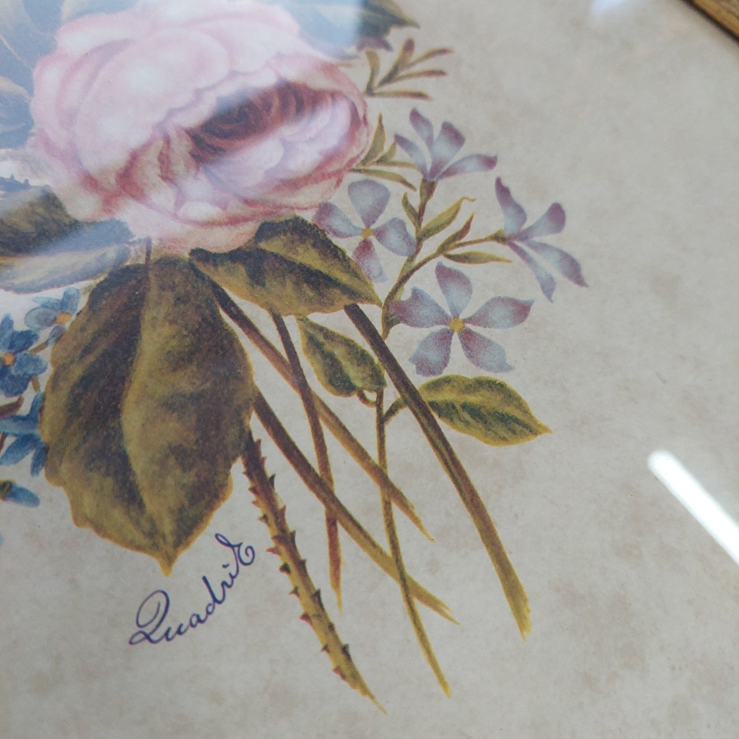 Quadro Stampa Fiori Cm35x42