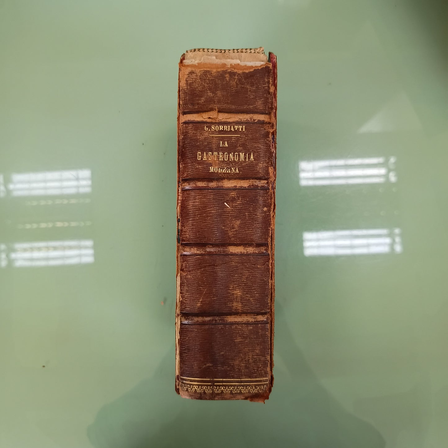 L/la Gastronomia Moderna - G. Sorbiatti (libro Raro, 1888)