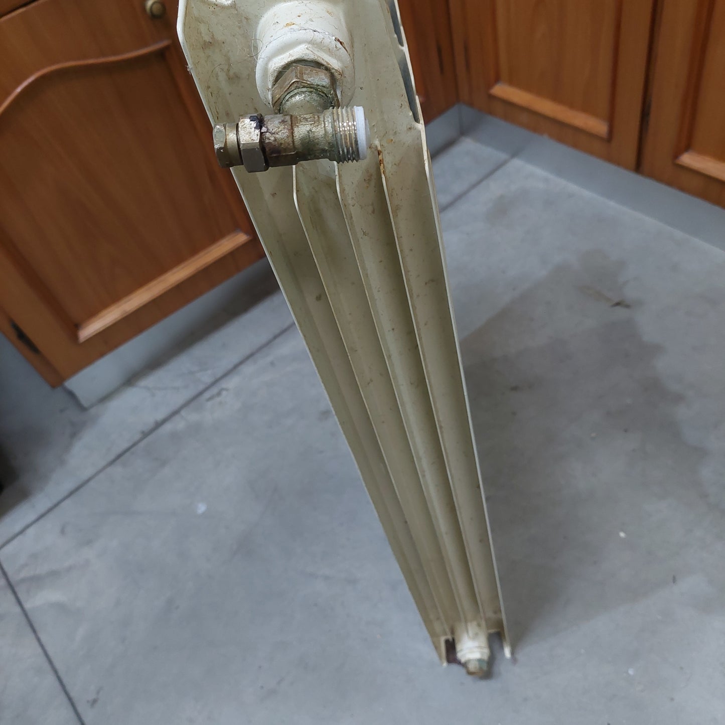 Termosifone 6 Elementi Cm53x90h