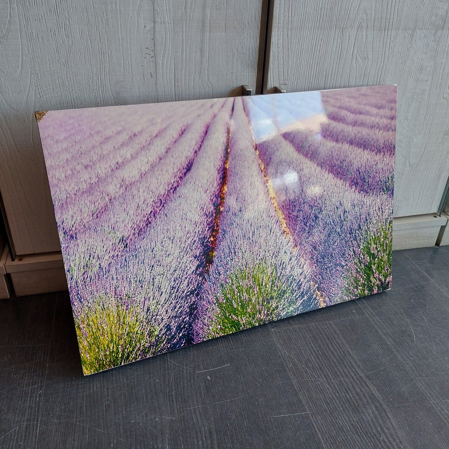 Q/campo Di Lavanda Cm60x40