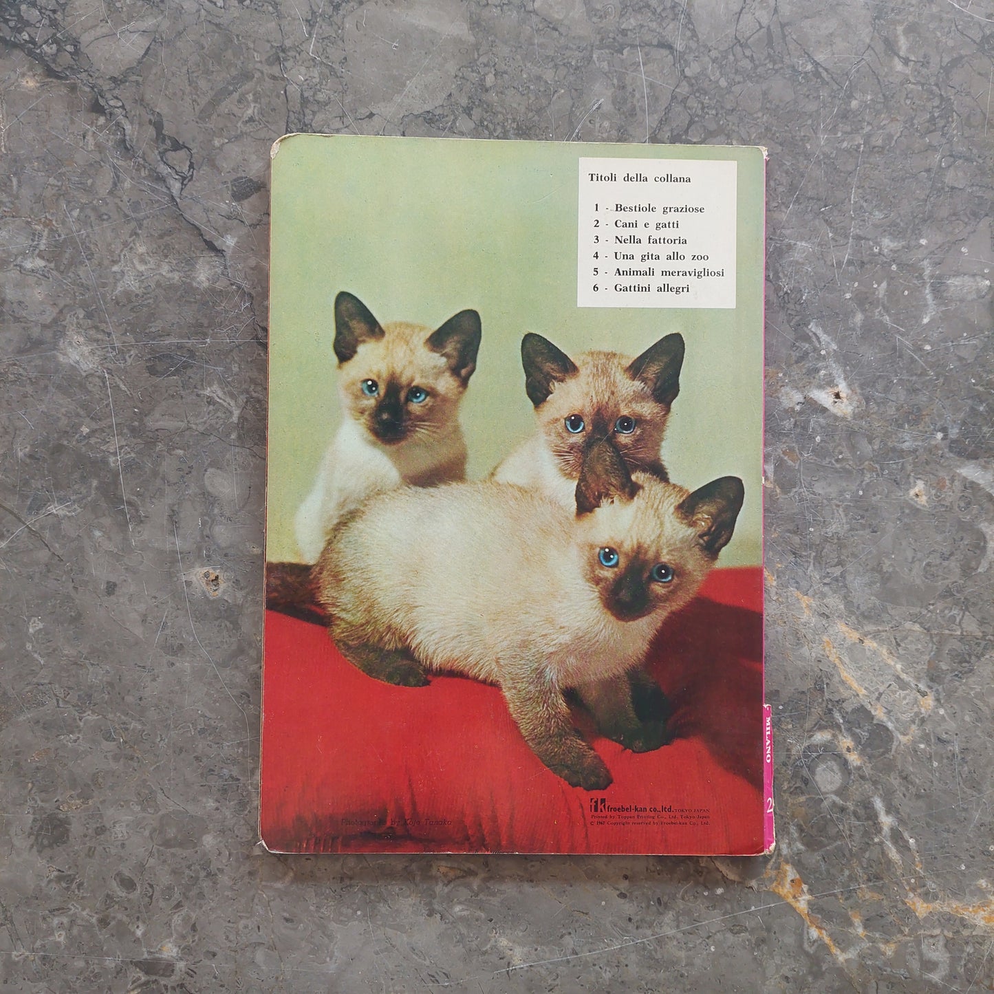 Cani E Gatti (cartonato Vintage)