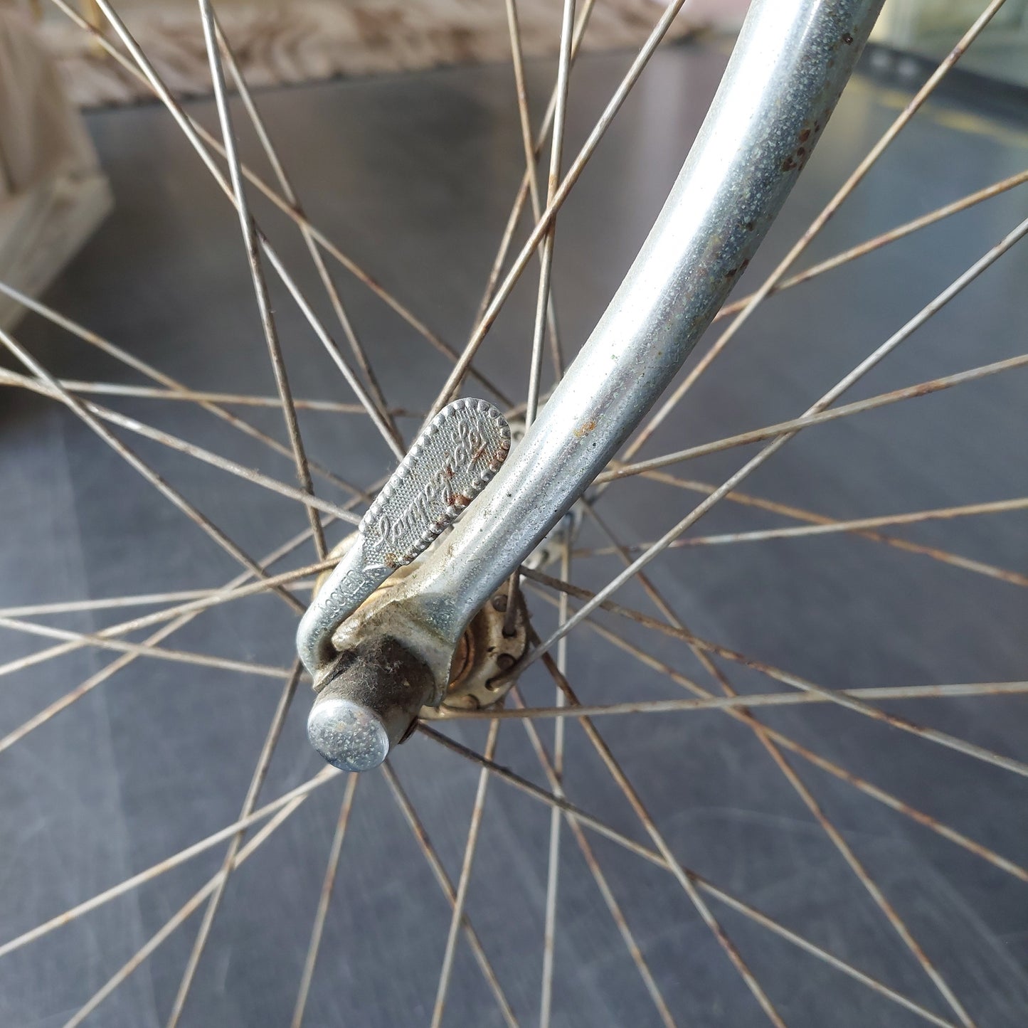 Bicicletta Colnago/campagnolo Triomphe Anni '80 24''