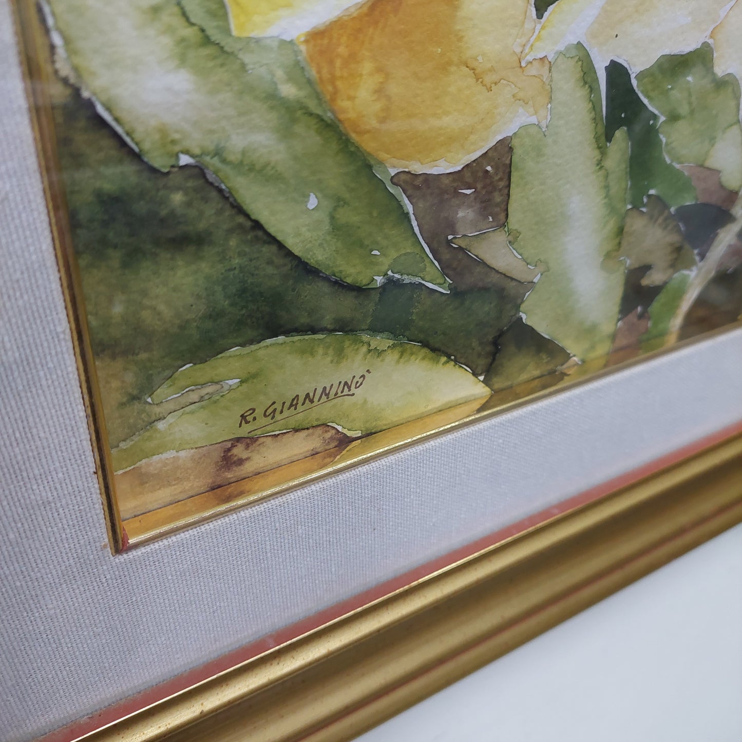 Quadro* Acquarello Anemoni Firmato R. Gianninò Cm67x55