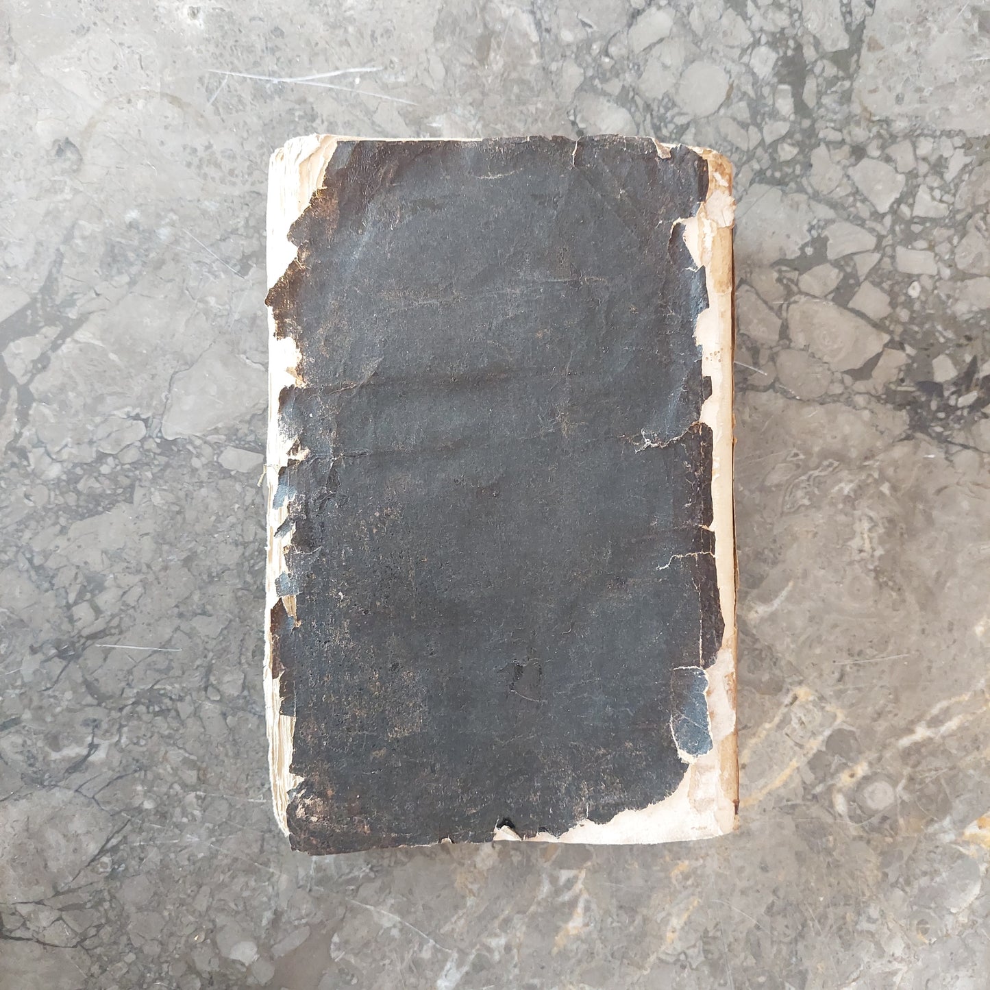 L/ "sante Bibble" Bibbia In Lingua Francese 1835