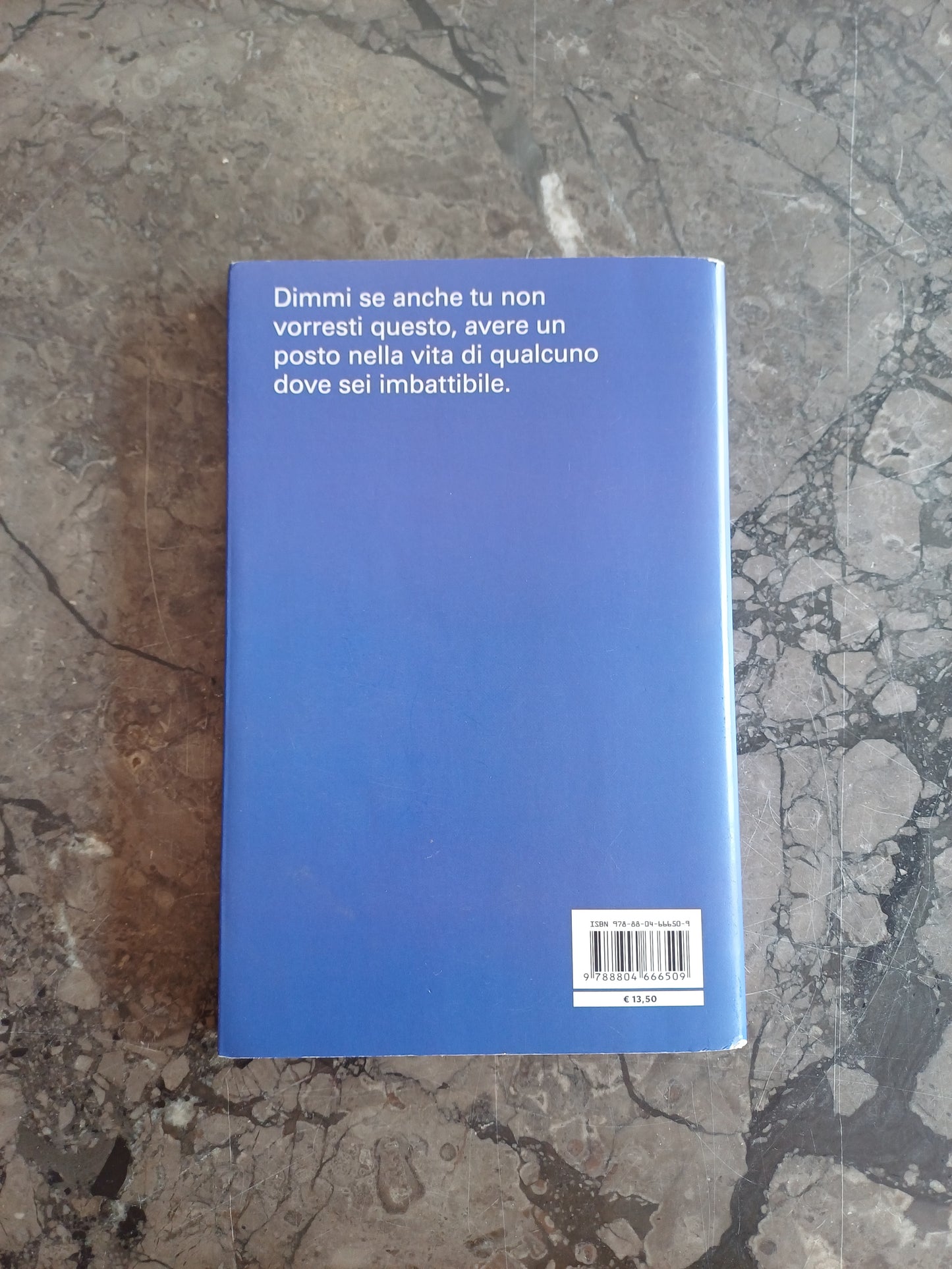 L/il Quadro Mai Dipinto - Massimo Bisotti