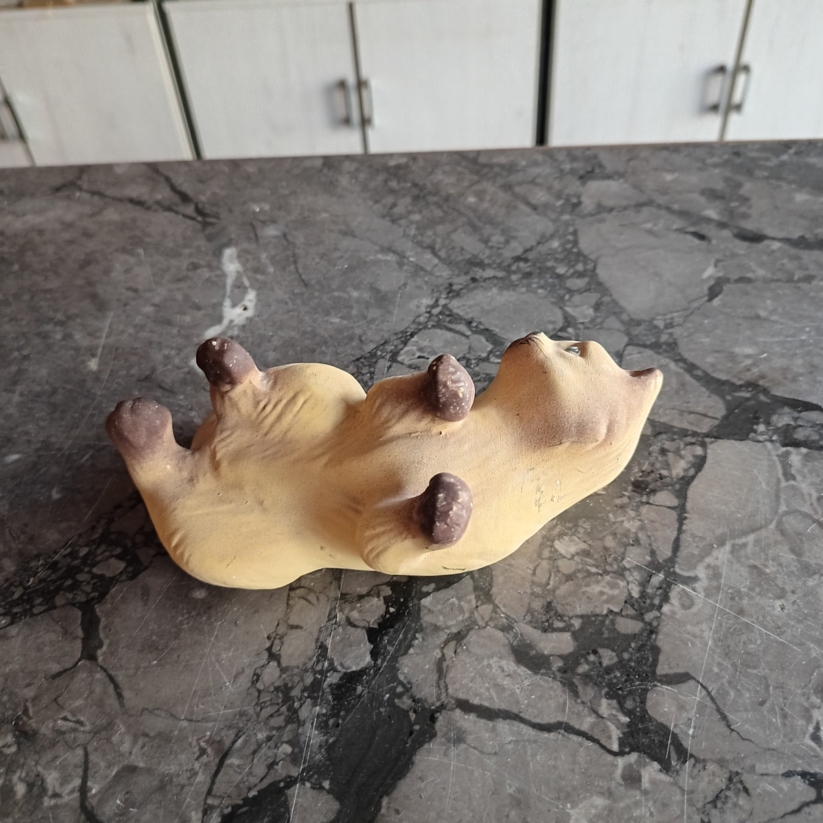 Gatto Ceramica