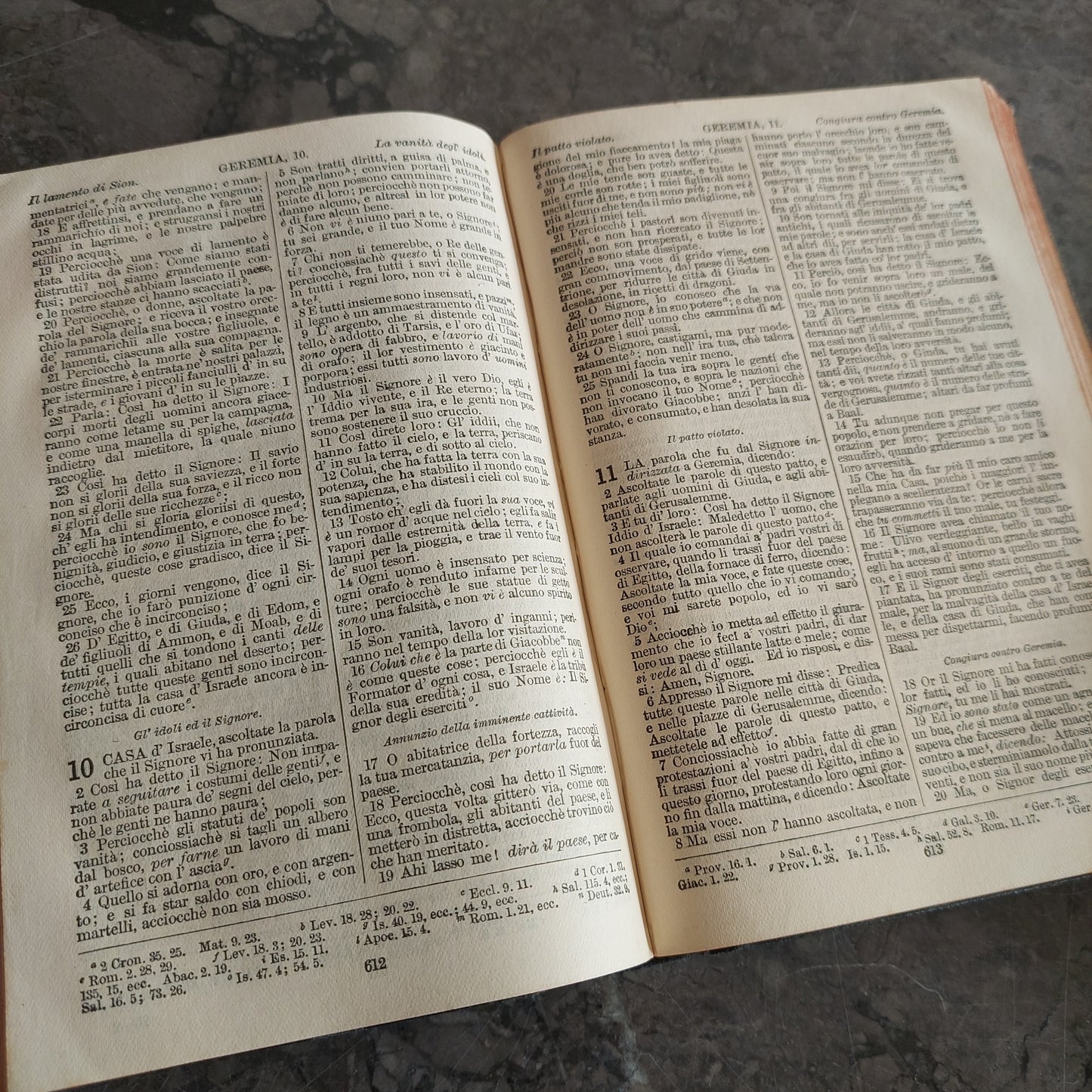 La Sacra Bibbia (trad. Di Giovanni Diodati, Ed. 1925)