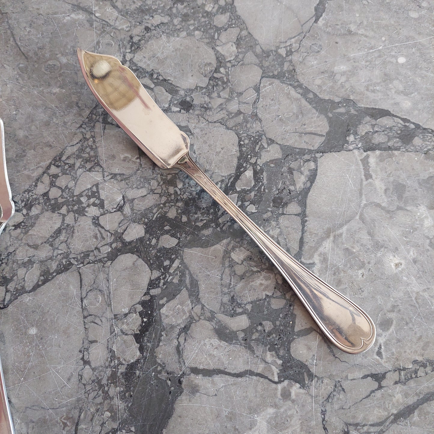 Set/12 Coltelli Da Pesce Gnutti Acciaio