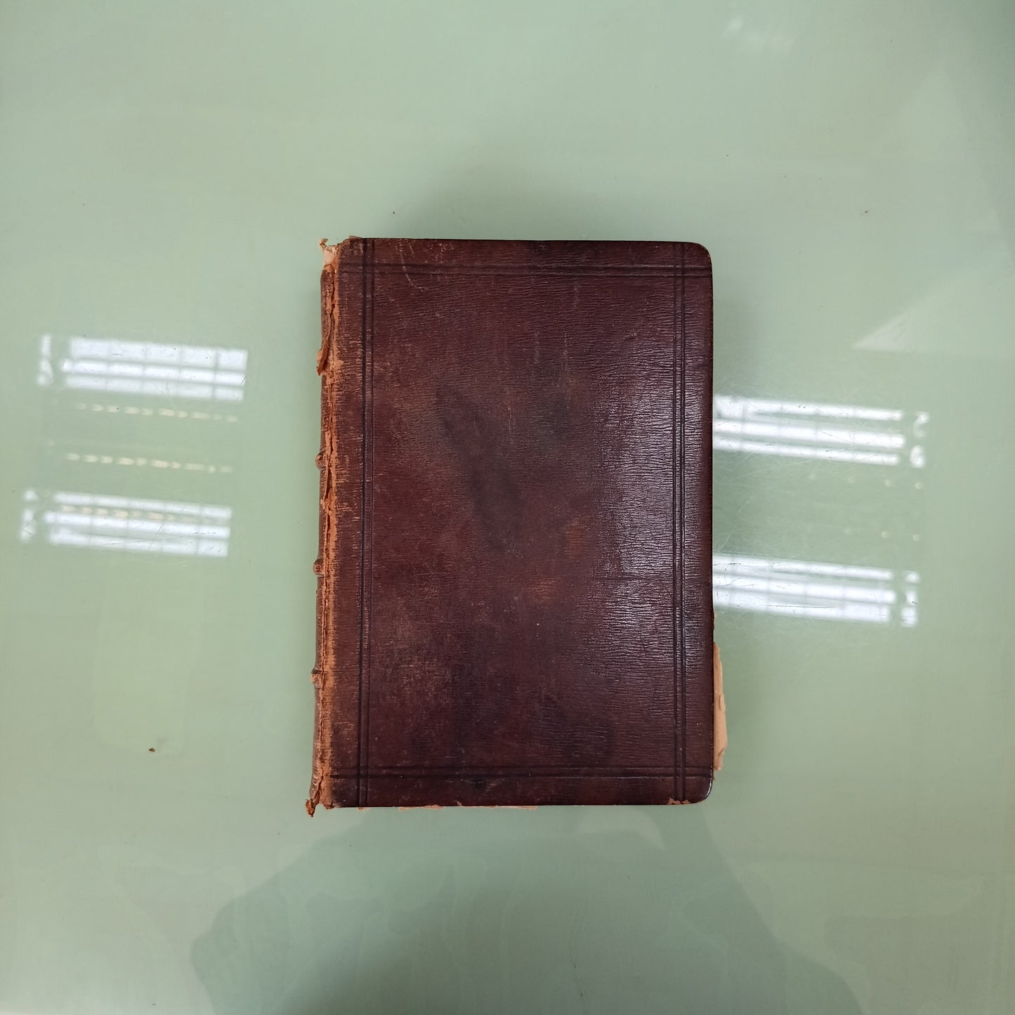 L/la Gastronomia Moderna - G. Sorbiatti (libro Raro, 1888)