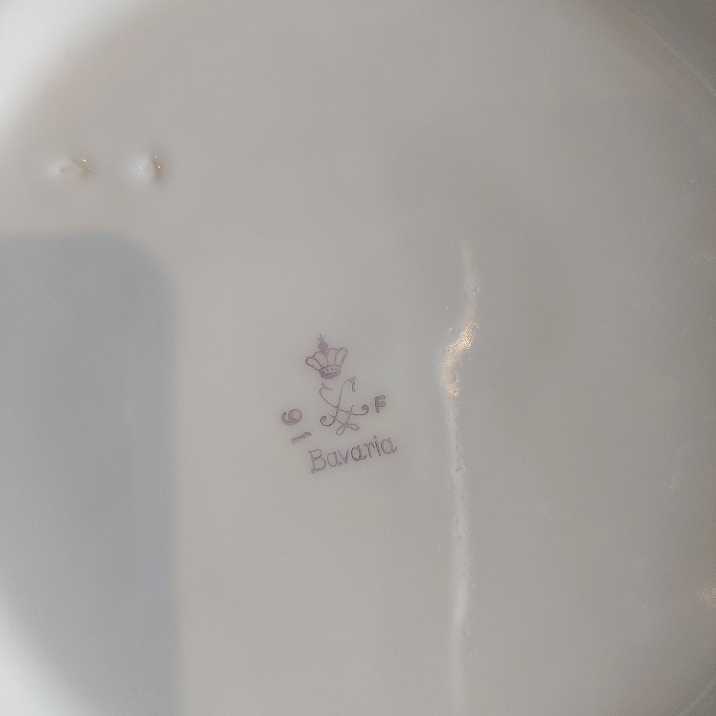 Zuppiera Porcellana Bavaria Decoro Fiori