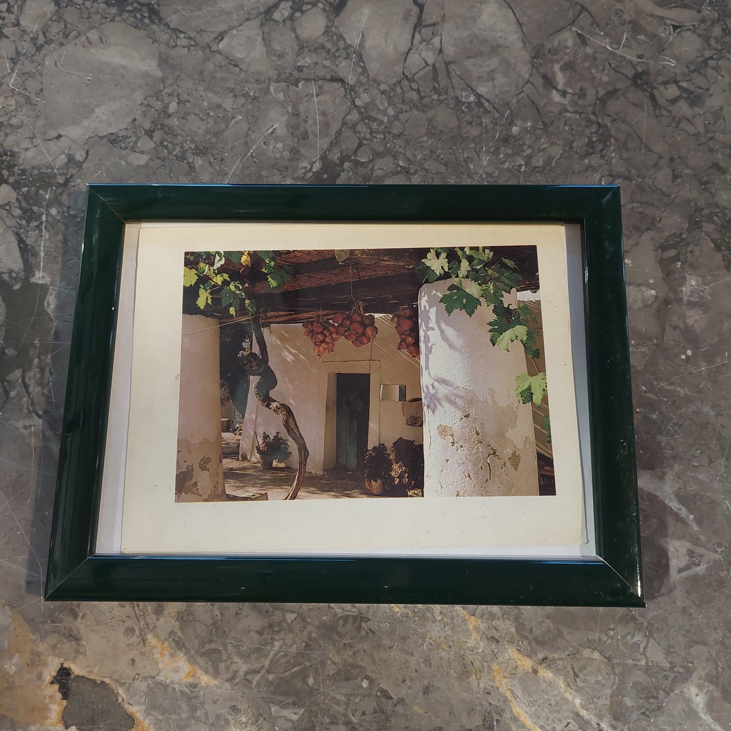 Quadro Foglia Oro Cm25x28