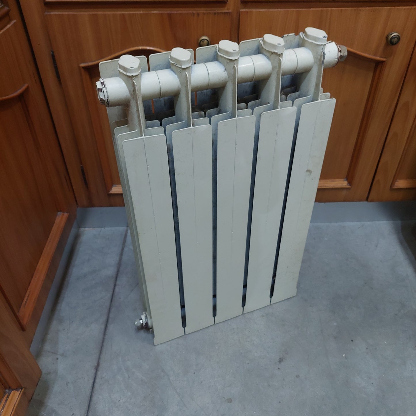 Termosifone 5 Elementi Cm45x70h