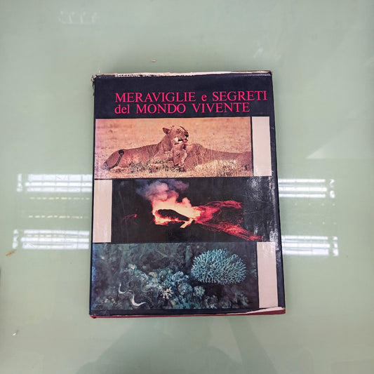 L/meraviglie E Segreti Del Mondo Vivente - Reader's Digest