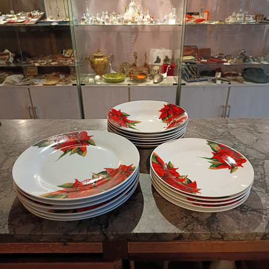 Servizio 19 Piatti Porcellana Nataluna Nazareno Gabrielli