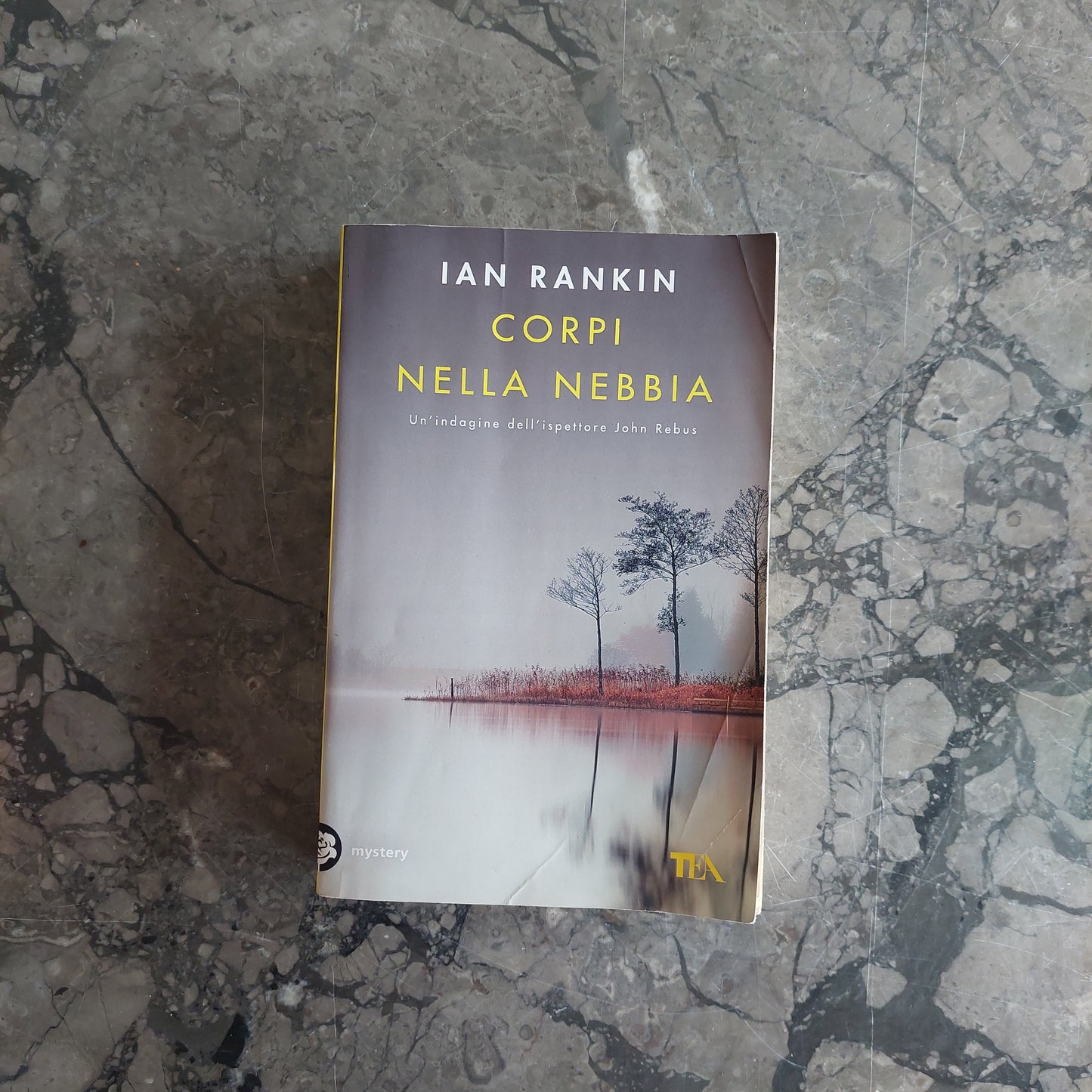 Corpi Nella Nebbia - Ian Rankin