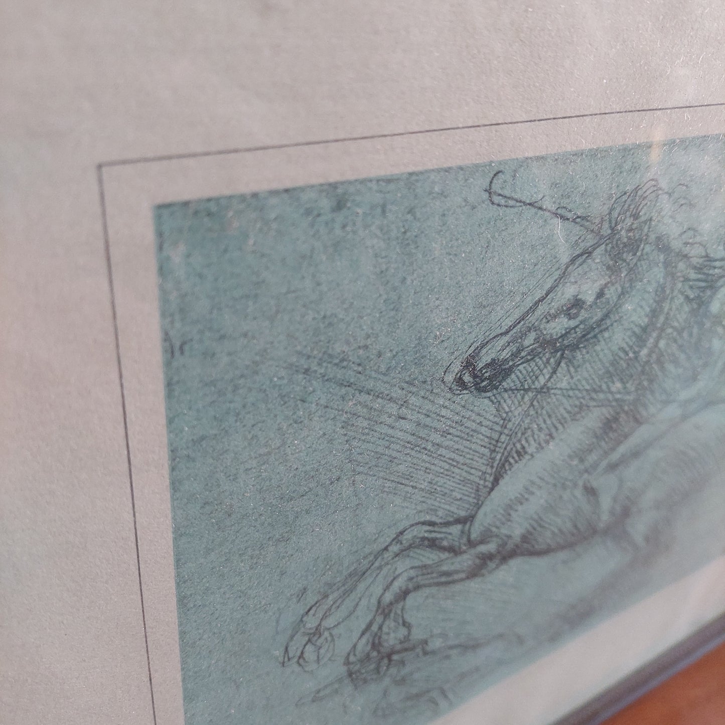 Quadro Stampa Leonardo Da Vinci Cm50x44,5