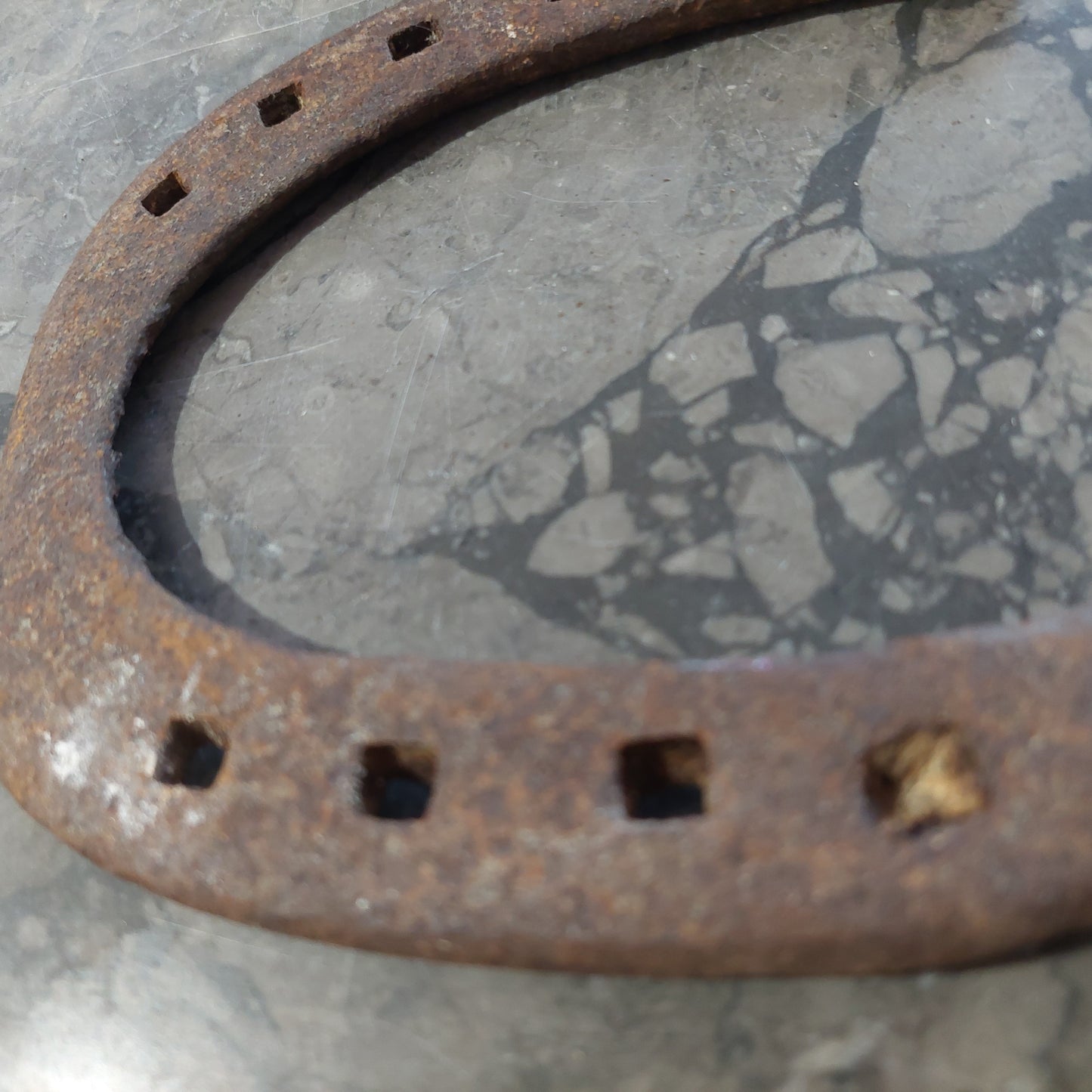 Ferro Di Cavallo Antico Cm13x17