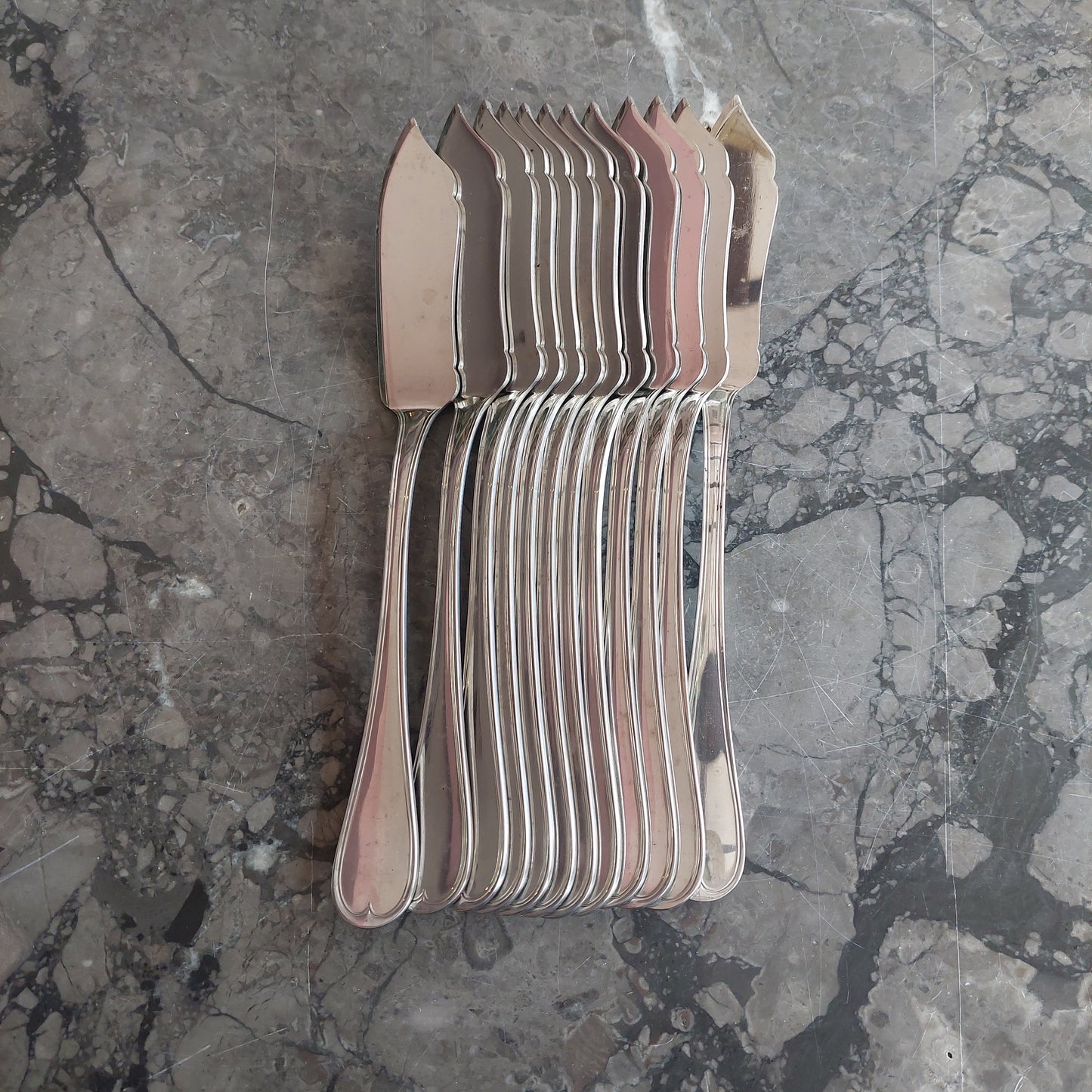 Set/12 Coltelli Da Pesce Gnutti Acciaio