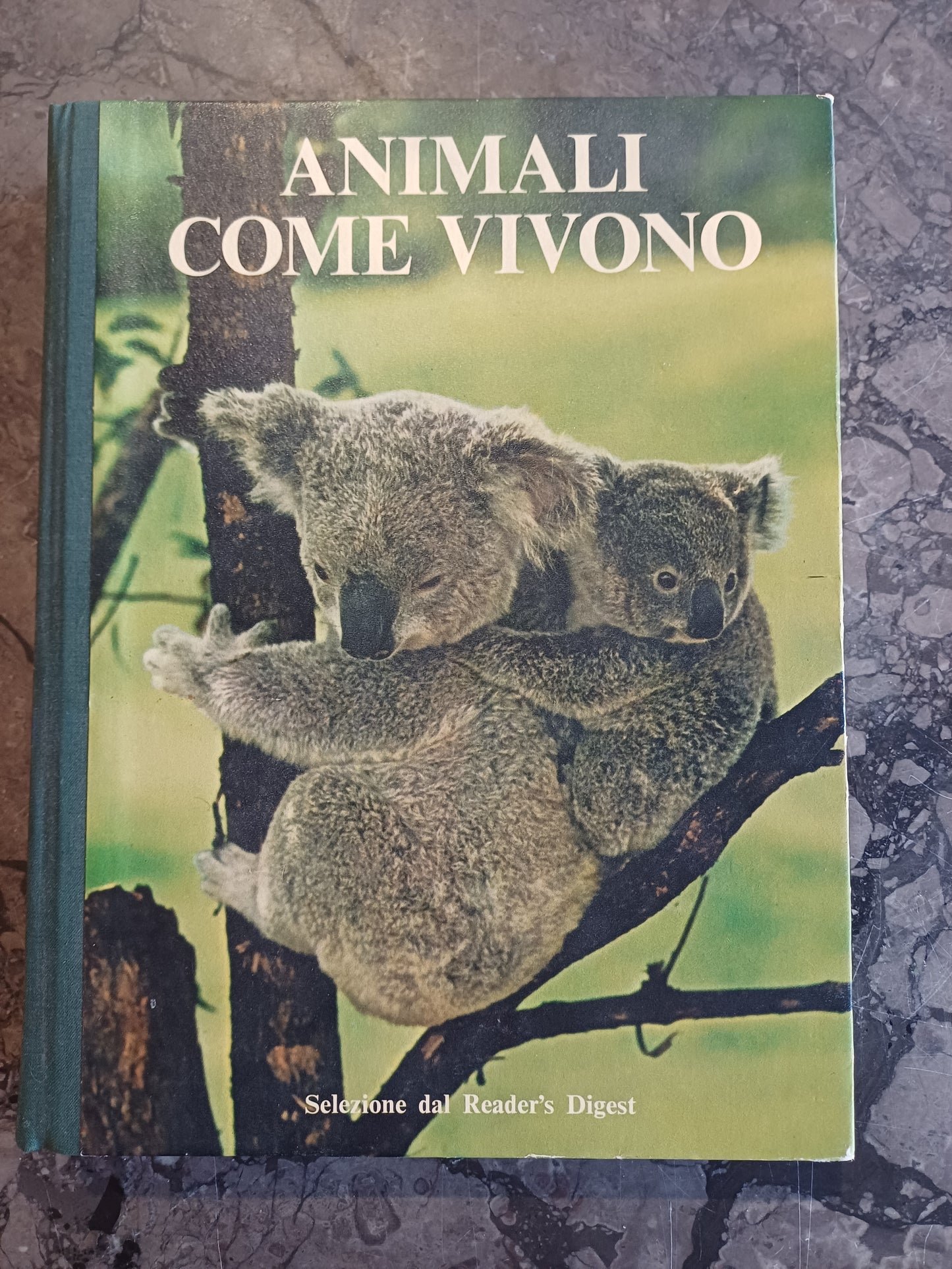 L/animali Come Vivono