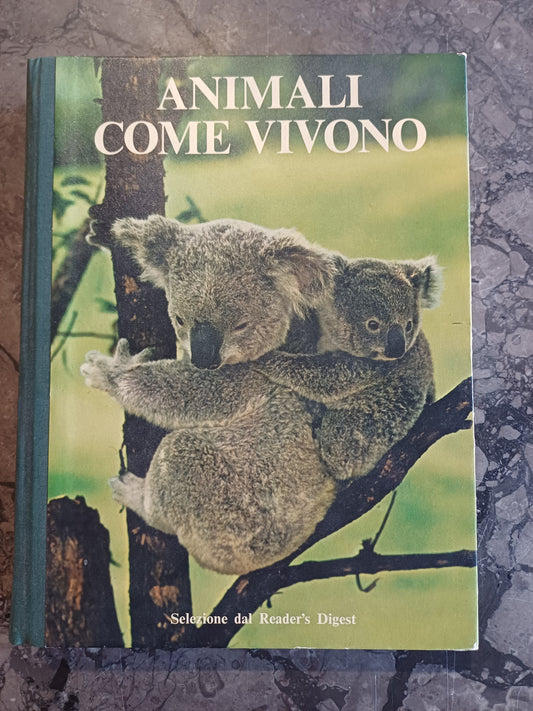 L/animali Come Vivono