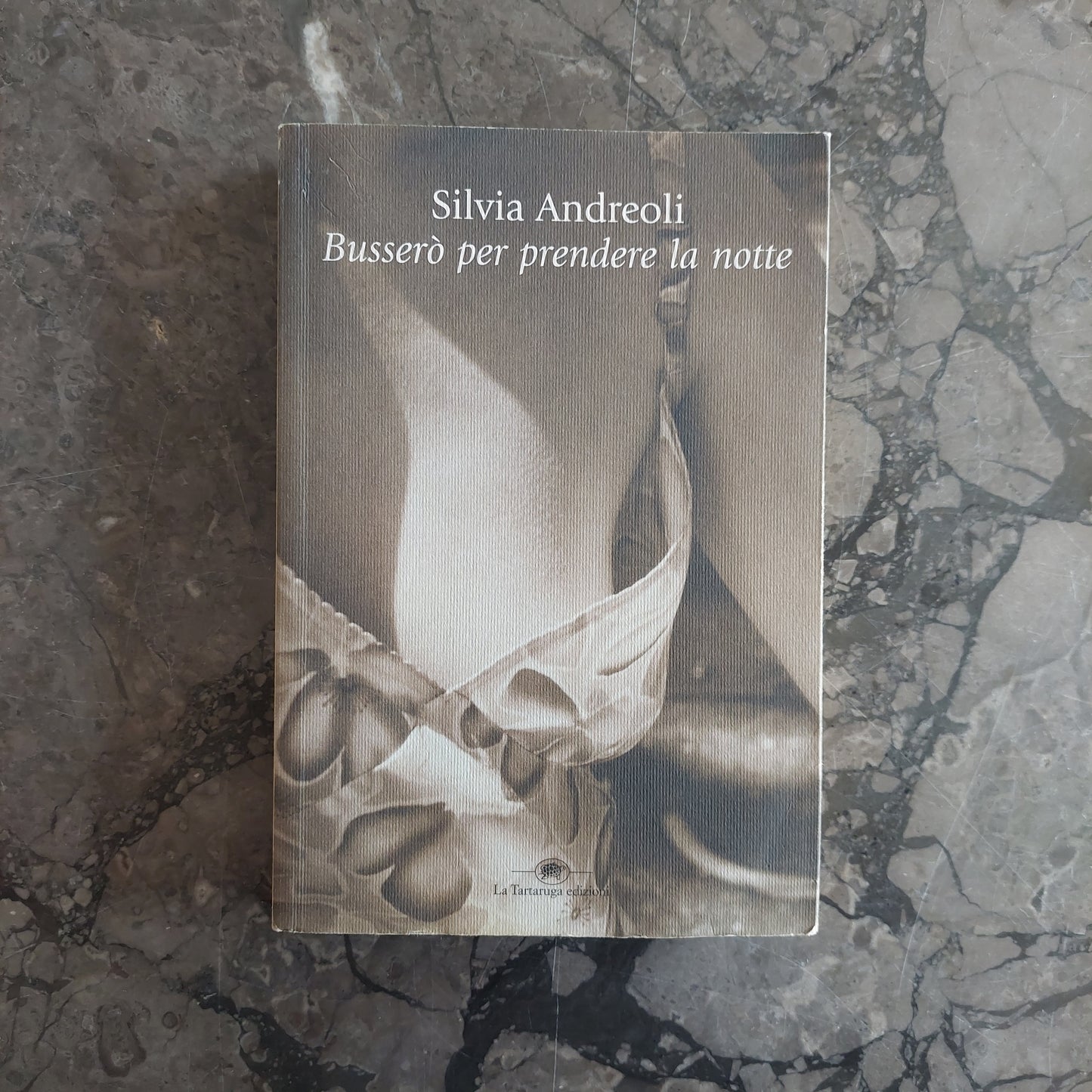 L/busserò Per Prendere La Notte - Silvia Andreoli
