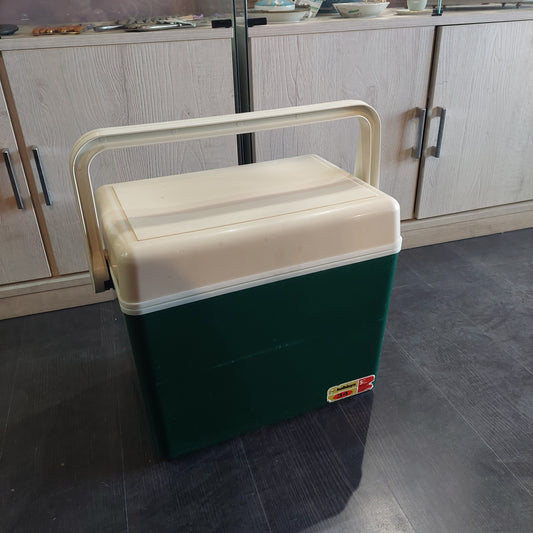 Borsa Frigo Rigida Verde