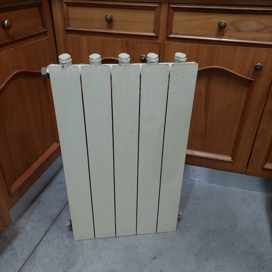 Termosifone 5 Elementi Cm45x70h