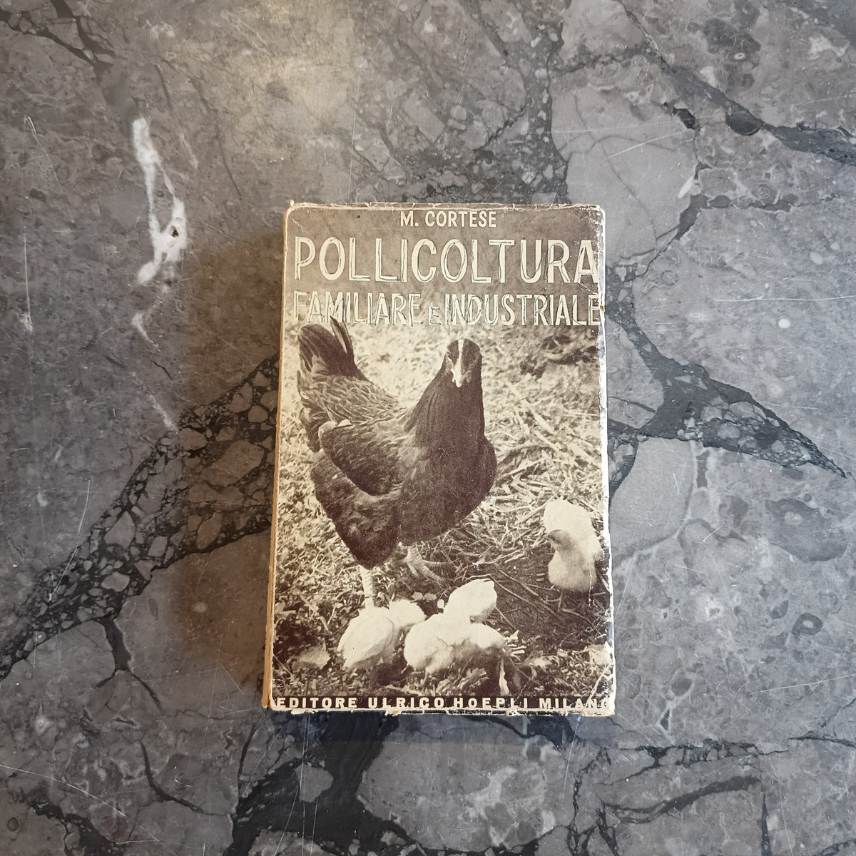 L/pollicoltura Familiare E Industriale - M. Cortese