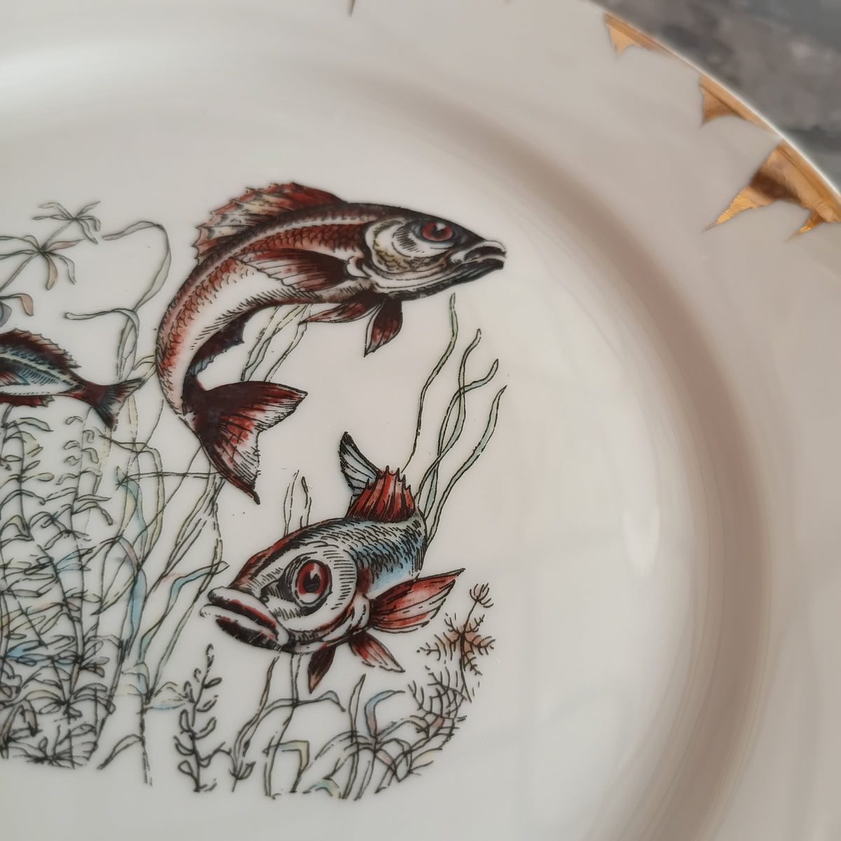 Set/6 Piatti Pesce Porcellana Bavaria Vintage