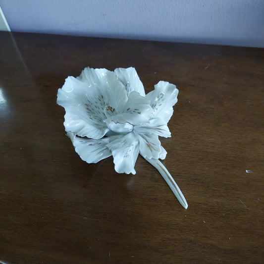 Ramo Fiore Porcellana* Capodimonte