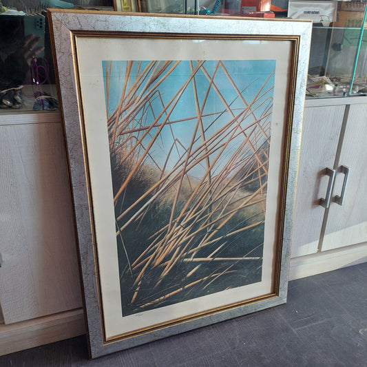 Quadro Serigrafia Canne Di Fiume Firmata A.garufi Cm57,5x77,5