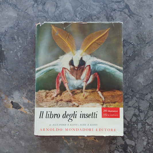 L/il Libro Degli Insetti