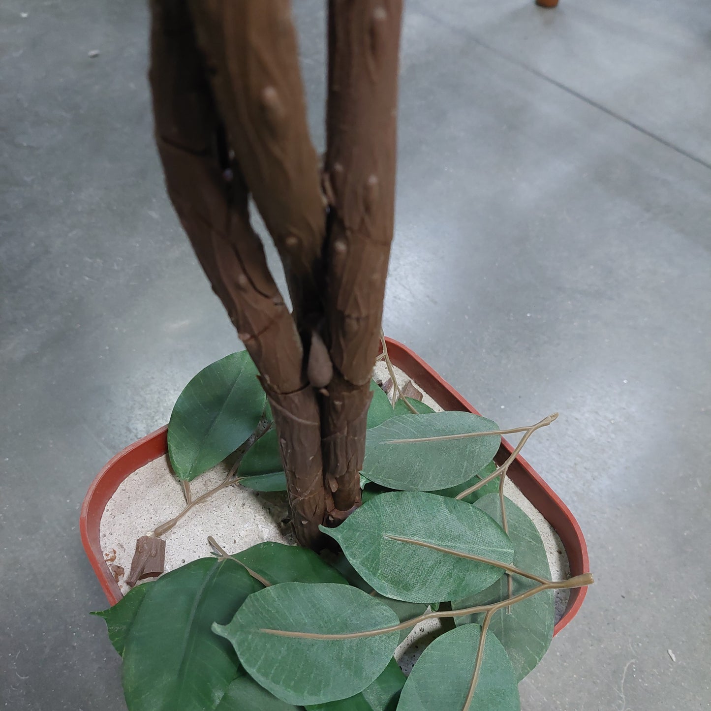 Pianta Finta Ficus Benjamin Cm170h