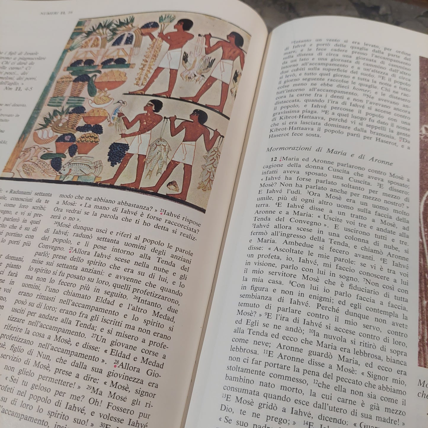 2 Volumi La Sacra Bibbia Vecchio Testamento
